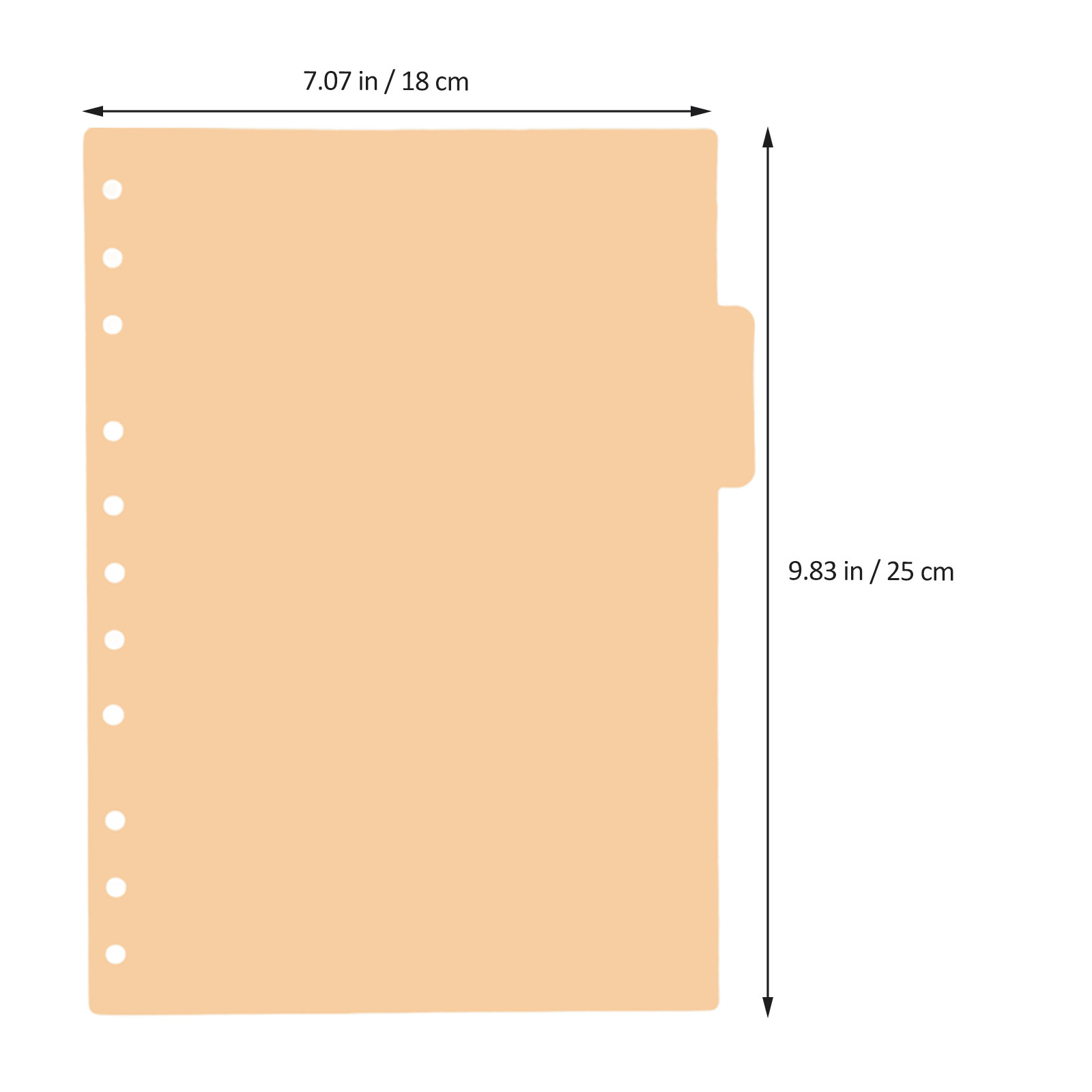 5 ชิ้น แผ่นคั่นแฟ้มพลาสติก แถบ - Index Tab Divider บทวิจารณ์และราคา